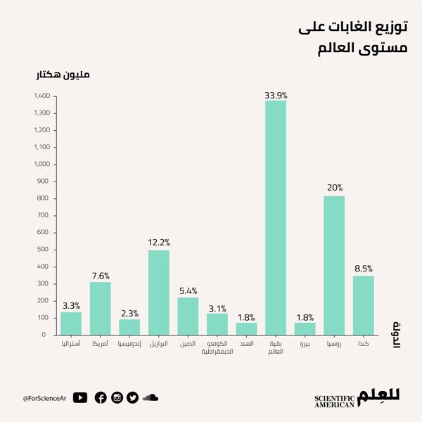 أهم المنتجات على اليابسة